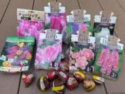 �摜(180x135)�E�g��摜(640x480)