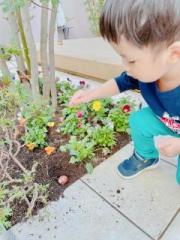 �摜(180x240)�E�g��摜(480x640)