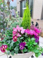 �摜(180x240)�E�g��摜(480x640)