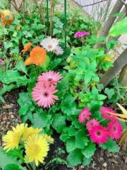 �摜(180x240)�E�g��摜(480x640)