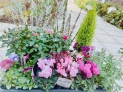 �摜(240x180)�E�g��摜(640x480)