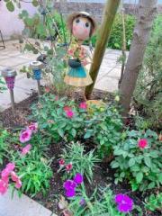 �摜(180x240)�E�g��摜(480x640)