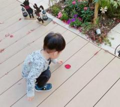 �摜(240x213)�E�g��摜(640x569)