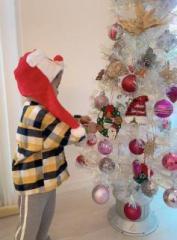 �摜(177x240)�E�g��摜(474x640)