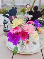 �摜(180x240)�E�g��摜(480x640)