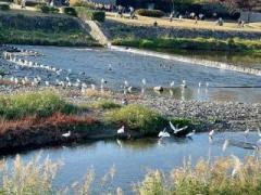 �摜(240x180)�E�g��摜(640x480)