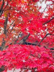 �摜(180x240)�E�g��摜(480x640)