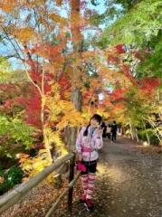 �摜(179x240)�E�g��摜(479x640)