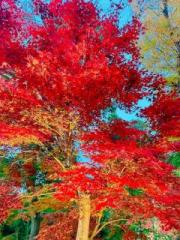 �摜(180x240)�E�g��摜(480x640)