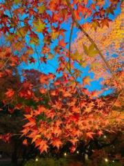 �摜(180x240)�E�g��摜(480x640)