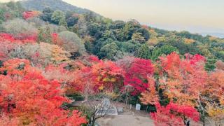 �摜(320x180)�E�g��摜(640x360)