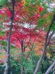 �摜(180x240)�E�g��摜(480x640)