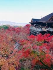 �摜(180x240)�E�g��摜(480x640)