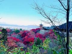 �摜(240x180)�E�g��摜(640x480)