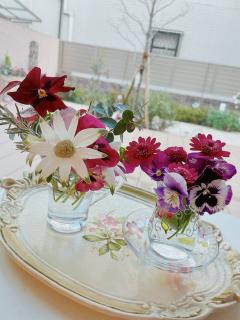 �摜(240x320)�E�g��摜(480x640)