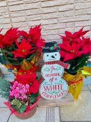 �摜(180x240)�E�g��摜(480x640)