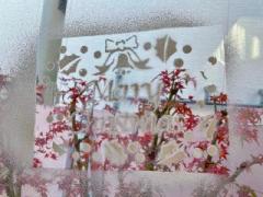 �摜(240x180)�E�g��摜(640x480)