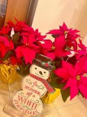 �摜(180x240)�E�g��摜(480x640)