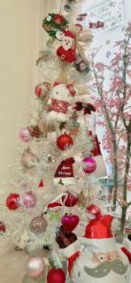 �摜(148x320)�E�g��摜(296x640)