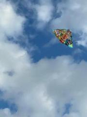 �摜(180x240)�E�g��摜(480x640)