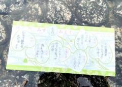 �摜(240x171)�E�g��摜(640x456)