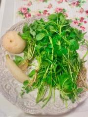 画像(180x240)・拡大画像(480x640)