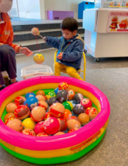 画像(185x240)・拡大画像(495x640)