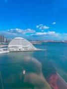 画像(135x180)・拡大画像(480x640)