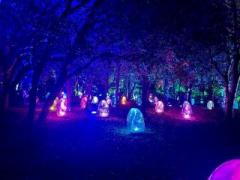 画像(240x180)・拡大画像(640x480)