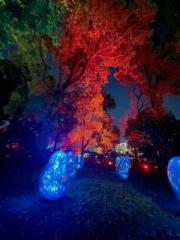 画像(180x240)・拡大画像(480x640)