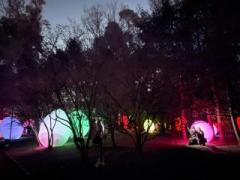 画像(240x180)・拡大画像(640x480)