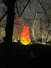 画像(180x240)・拡大画像(480x640)