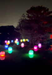 画像(166x240)・拡大画像(444x640)