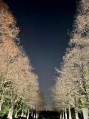 画像(180x240)・拡大画像(480x640)