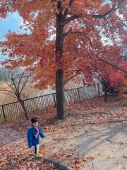 画像(180x240)・拡大画像(480x640)