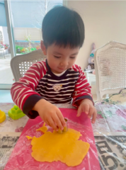 画像(178x240)・拡大画像(476x640)