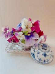 �摜(180x240)�E�g��摜(480x640)