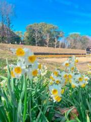 �摜(180x240)�E�g��摜(480x640)