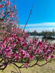 �摜(180x240)�E�g��摜(480x640)