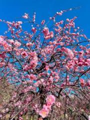 �摜(180x240)�E�g��摜(480x640)