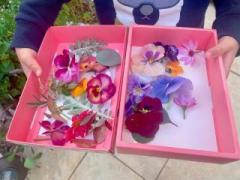 画像(240x180)・拡大画像(640x480)