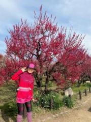 �摜(179x240)�E�g��摜(479x640)