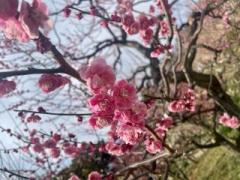 �摜(240x180)�E�g��摜(640x480)