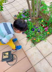 �摜(174x240)�E�g��摜(466x640)