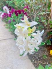 �摜(180x240)�E�g��摜(480x640)