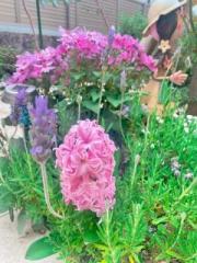 画像(180x240)・拡大画像(480x640)