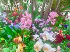 画像(240x180)・拡大画像(640x480)