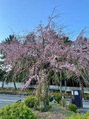 �摜(180x240)�E�g��摜(480x640)