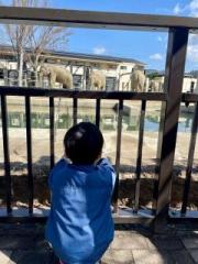 �摜(180x240)�E�g��摜(480x640)