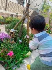 �摜(180x240)�E�g��摜(480x640)